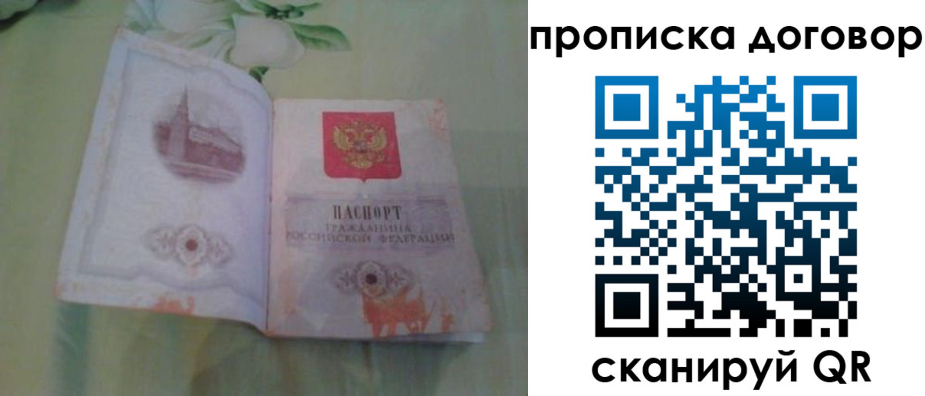 временная регистрация гарантия в Касимове
